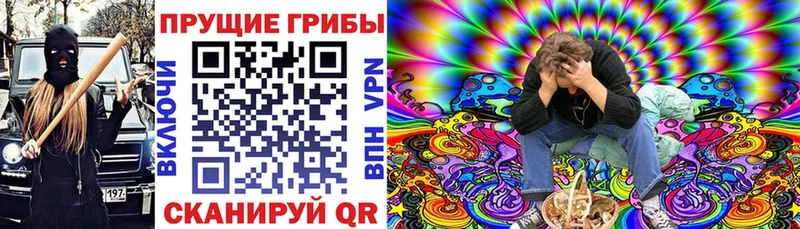 Псилоцибиновые грибы прущие грибы  Аша 